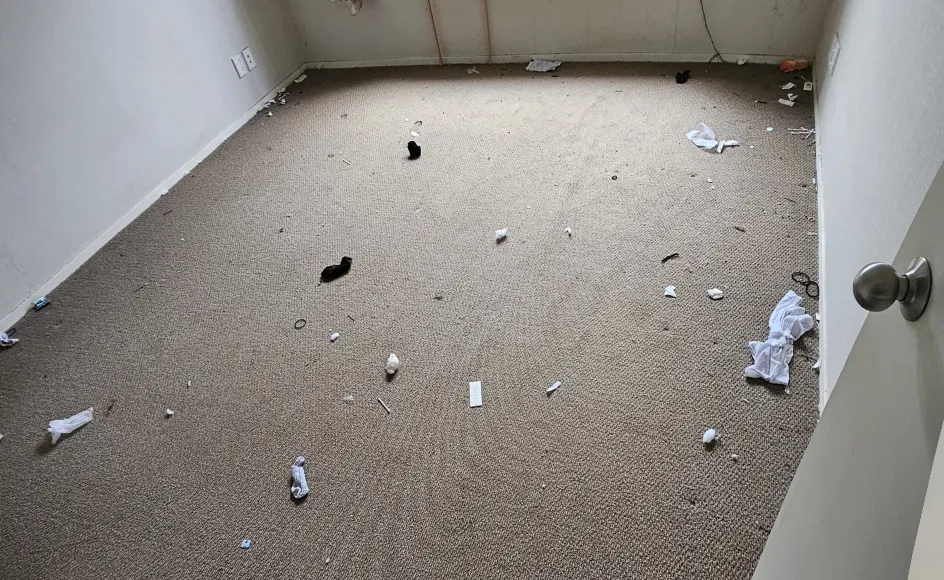 Before Image